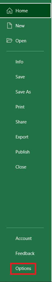 „Excel“ failo langas