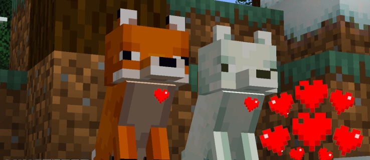 Πώς να δαμάσεις μια αλεπού στο Minecraft